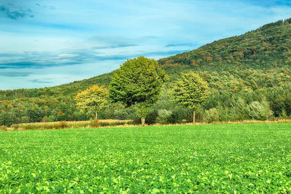 Polonya, Wroclaw yakınlarındaki Slezanski Peyzaj Parkı. Eylül 'ün son günlerinde dağlarda güzel bir gün.