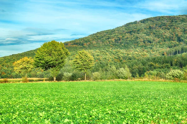 Polonya, Wroclaw yakınlarındaki Slezanski Peyzaj Parkı. Eylül 'ün son günlerinde dağlarda güzel bir gün.