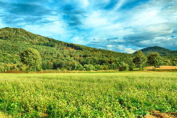 Polonya, Wroclaw yakınlarındaki Slezanski Peyzaj Parkı. Eylül 'ün son günlerinde dağlarda güzel bir gün.
