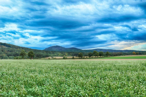 Polonya, Wroclaw yakınlarındaki Slezanski Peyzaj Parkı. Eylül 'ün son günlerinde dağlarda güzel bir gün.
