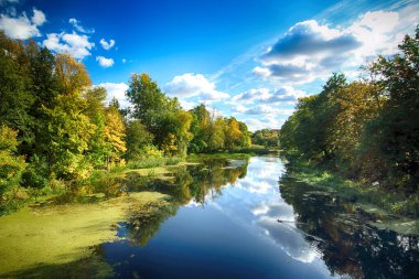 Wroclaw, Polonya - Ekim 06, 2019: Wroclaw, Polonya 'da Olawa Nehri. Güneşli bir günde güzel bir sonbahar manzarası. Şehirde vahşi, el değmemiş doğa..