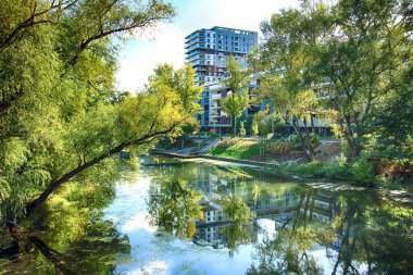 Wroclaw, Polonya - Ekim 06, 2019: Wroclaw, Polonya 'da Olawa Nehri. Güneşli bir günde güzel bir sonbahar manzarası. Şehirde vahşi, el değmemiş doğa..