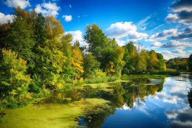 Wroclaw, Polonya - Ekim 06, 2019: Wroclaw, Polonya 'da Olawa Nehri. Güneşli bir günde güzel bir sonbahar manzarası. Şehirde vahşi, el değmemiş doğa..