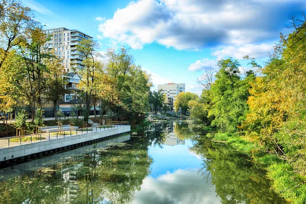 Wroclaw, Polonya - Ekim 06, 2019: Wroclaw, Polonya 'da Olawa Nehri. Güneşli bir günde güzel bir sonbahar manzarası. Şehirde vahşi, el değmemiş doğa..
