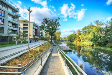 Wroclaw, Polonya - Ekim 06, 2019: Wroclaw, Polonya 'da Olawa Nehri. Güneşli bir günde güzel bir sonbahar manzarası. Şehirde vahşi, el değmemiş doğa..