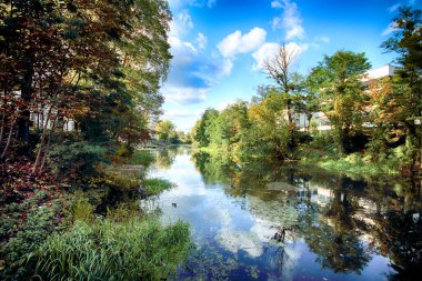 Wroclaw, Polonya - Ekim 06, 2019: Wroclaw, Polonya 'da Olawa Nehri. Güneşli bir günde güzel bir sonbahar manzarası. Şehirde vahşi, el değmemiş doğa..