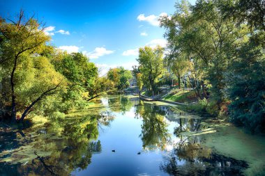 Wroclaw, Polonya - Ekim 06, 2019: Wroclaw, Polonya 'da Olawa Nehri. Güneşli bir günde güzel bir sonbahar manzarası. Şehirde vahşi, el değmemiş doğa..
