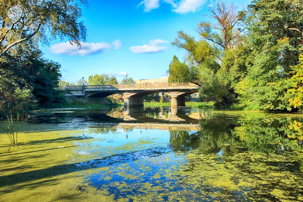 ポーランドのヴロツワフ 2019年10月6日 ヴロツワフ旧市街 オロースキー橋 Olawski Bridge ポーランドのヴロツワフにあるオラーワ川にかかる道路橋である 1882年に建設され アレクサンダー カウマンによって設計された — ストック写真