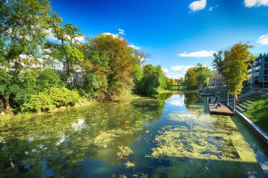 Wroclaw, Polonya - Ekim 06, 2019: Wroclaw, Polonya 'da Olawa Nehri. Güneşli bir günde güzel bir sonbahar manzarası. Şehirde vahşi, el değmemiş doğa..