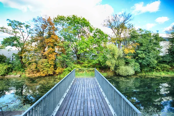 Wroclaw Polonia Octubre 2019 Río Olawa Wroclaw Polonia Hermoso Paisaje — Foto de Stock