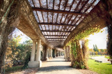 Wroclaw, Polonya - 18 Ekim 2019: Pergola - Centennial Hall Exhibition Grounds 'un ayrılmaz bir parçası olarak 1913 yılında yarı elips şeklinde inşa edilmiş 640 metre uzunluğunda bir yapı.