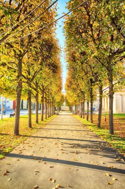 Wroclaw, Polonya - 18 Ekim 2019: Pergola - Centennial Hall Exhibition Grounds 'un ayrılmaz bir parçası olarak 1913 yılında yarı elips şeklinde inşa edilmiş 640 metre uzunluğunda bir yapı.