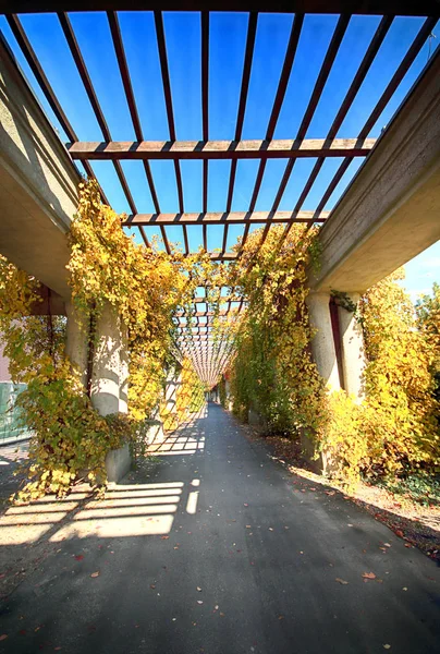 Vratislav Polsko Října 2019 Pergola 640 Metrů Dlouhá Stavba Postavená — Stock fotografie