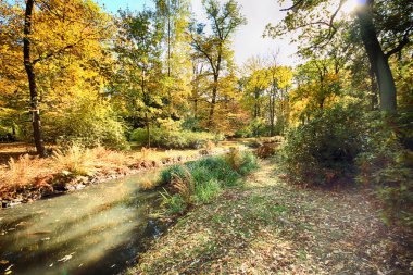 Wroclaw, Polonya - 18 Ekim 2019: Szczytnicki Parkı, Polonya 'nın Wroclaw kentindeki Pergola ve Centennial Hall yakınlarında yer almaktadır. Polonya 'nın altın sonbaharında güzel doğa.