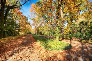 Wroclaw, Polonya - 18 Ekim 2019: Szczytnicki Parkı, Polonya 'nın Wroclaw kentindeki Pergola ve Centennial Hall yakınlarında yer almaktadır. Polonya 'nın altın sonbaharında güzel doğa.