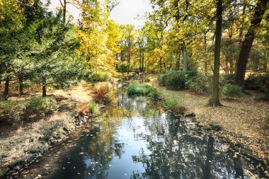 Wroclaw, Polonya - 18 Ekim 2019: Szczytnicki Parkı, Polonya 'nın Wroclaw kentindeki Pergola ve Centennial Hall yakınlarında yer almaktadır. Polonya 'nın altın sonbaharında güzel doğa.