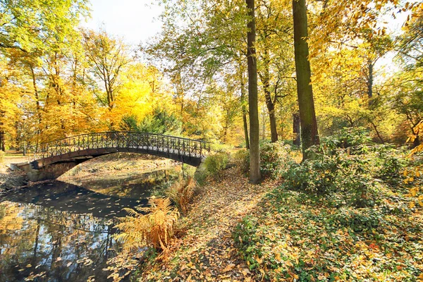 Wroclaw Polen Oktober 2019 Der Szczytnicki Park Befindet Sich Der — Stockfoto