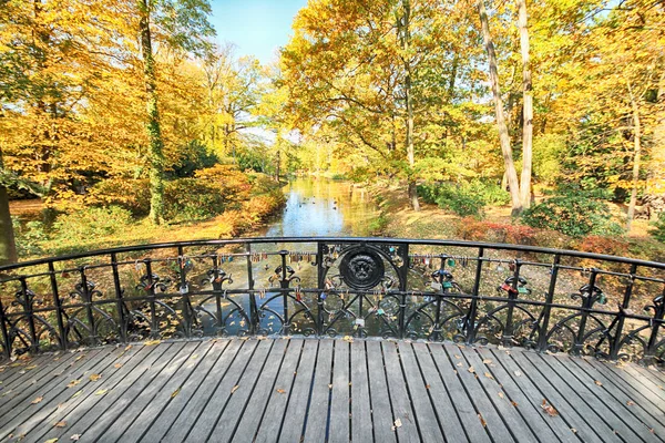 Wroclaw Polonia Octubre 2019 Parque Szczytnicki Está Situado Las Inmediaciones — Foto de Stock