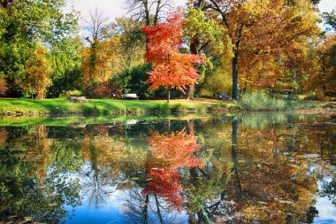 Wroclaw, Polonya - 18 Ekim 2019: Szczytnicki Parkı, Polonya 'nın Wroclaw kentindeki Pergola ve Centennial Hall yakınlarında yer almaktadır. Polonya 'nın altın sonbaharında güzel doğa.