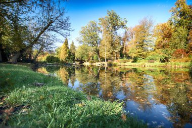 Wroclaw, Polonya - 18 Ekim 2019: Szczytnicki Parkı, Polonya 'nın Wroclaw kentindeki Pergola ve Centennial Hall yakınlarında yer almaktadır. Polonya 'nın altın sonbaharında güzel doğa.