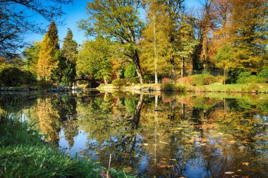 Wroclaw, Polonya - 18 Ekim 2019: Szczytnicki Parkı, Polonya 'nın Wroclaw kentindeki Pergola ve Centennial Hall yakınlarında yer almaktadır. Polonya 'nın altın sonbaharında güzel doğa.