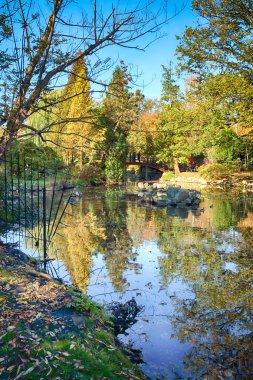 Wroclaw, Polonya - 18 Ekim 2019: Szczytnicki Parkı, Polonya 'nın Wroclaw kentindeki Pergola ve Centennial Hall yakınlarında yer almaktadır. Polonya 'nın altın sonbaharında güzel doğa.