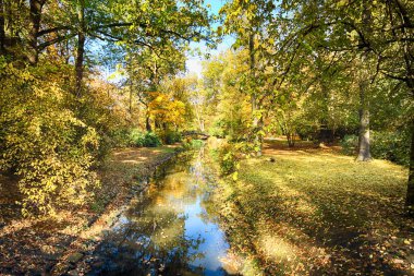 Wroclaw, Polonya - 18 Ekim 2019: Szczytnicki Parkı, Polonya 'nın Wroclaw kentindeki Pergola ve Centennial Hall yakınlarında yer almaktadır. Polonya 'nın altın sonbaharında güzel doğa.