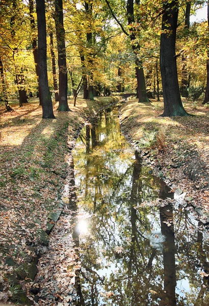 Wroclaw Polónia Outubro 2019 Parque Szczytnicki Está Situado Nas Proximidades — Fotografia de Stock