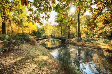 Wroclaw, Polonya - 18 Ekim 2019: Szczytnicki Parkı, Polonya 'nın Wroclaw kentindeki Pergola ve Centennial Hall yakınlarında yer almaktadır. Polonya 'nın altın sonbaharında güzel doğa.