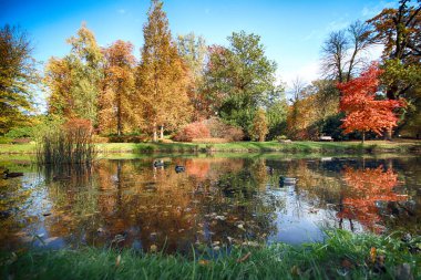 Wroclaw, Polonya - 18 Ekim 2019: Szczytnicki Parkı, Polonya 'nın Wroclaw kentindeki Pergola ve Centennial Hall yakınlarında yer almaktadır. Polonya 'nın altın sonbaharında güzel doğa.