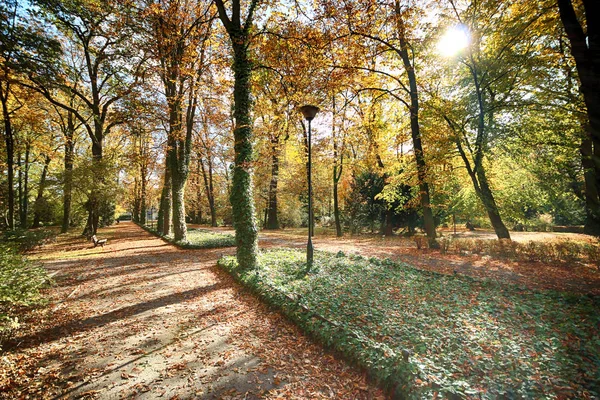 Wroclaw Polónia Outubro 2019 Parque Szczytnicki Está Situado Nas Proximidades — Fotografia de Stock