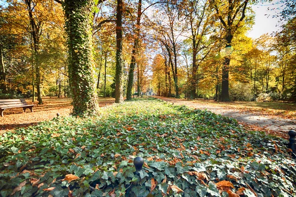 Wroclaw Polonia Octubre 2019 Parque Szczytnicki Está Situado Las Inmediaciones —  Fotos de Stock