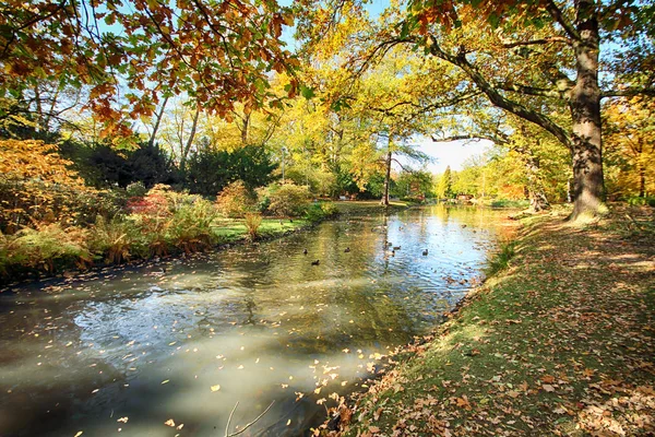 Wroclaw Polonia Ottobre 2019 Szczytnicki Park Trova Nelle Vicinanze Della — Foto Stock