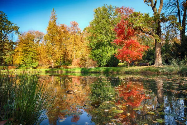 Wroclaw Polen Oktober 2019 Szczytnicki Park Ligger Närheten Den Historiska — Stockfoto