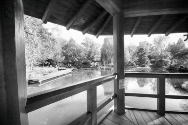 Wroclaw, Polonya - 18 Ekim 2019: Japon Bahçesi, Polonya 'nın Wroclaw kentinde bulunan Pergola ve Centennial Hall yakınlarında yer almaktadır. 1913 'teki Dünya Fuarı' ndan sonraki izleri temsil ediyor..