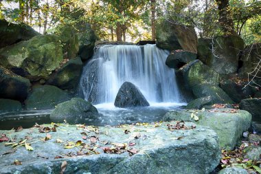 Wroclaw, Polonya - 18 Ekim 2019: Japon Bahçesi, Polonya 'nın Wroclaw kentinde bulunan Pergola ve Centennial Hall yakınlarında yer almaktadır. 1913 'teki Dünya Fuarı' ndan sonraki izleri temsil ediyor..