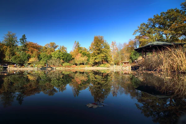 Wroclaw Polen Oktober 2019 Der Japanische Garten Befindet Sich Der — Stockfoto