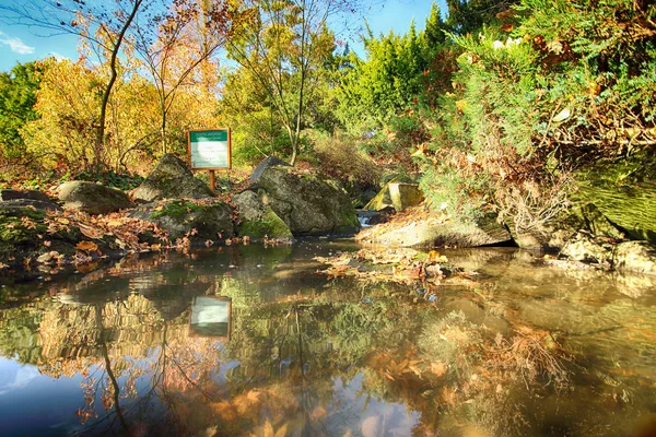 Wroclaw Polonia Octubre 2019 Jardín Japonés Está Situado Las Inmediaciones — Foto de Stock