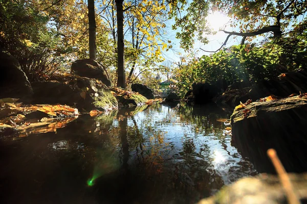 Wroclaw Polonia Octubre 2019 Jardín Japonés Está Situado Las Inmediaciones — Foto de Stock