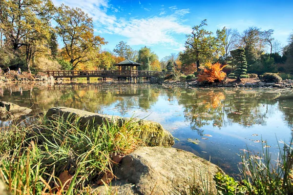 Wroclaw Polonya Ekim 2019 Japon Bahçesi Polonya Nın Wroclaw Kentinde — Stok fotoğraf