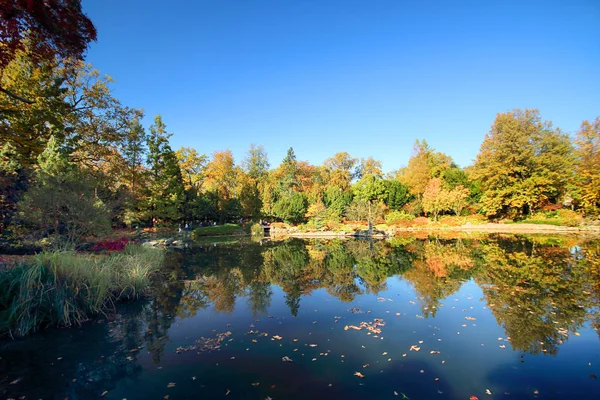 Wroclaw Polen Oktober 2019 Der Japanische Garten Befindet Sich Der — Stockfoto