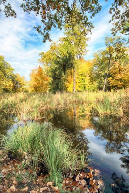 Wroclaw, Polonya - 18 Ekim 2019: Szczytnicki Parkı, Polonya 'nın Wroclaw kentindeki Pergola ve Centennial Hall yakınlarında yer almaktadır. Polonya 'nın altın sonbaharında güzel doğa.