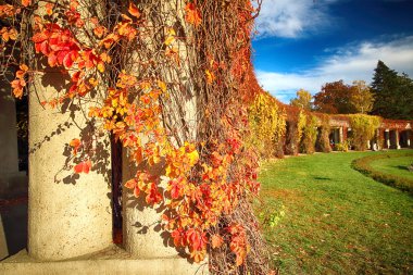 Wroclaw, Polonya - 18 Ekim 2019: Pergola - Centennial Hall Exhibition Grounds 'un ayrılmaz bir parçası olarak 1913 yılında yarı elips şeklinde inşa edilmiş 640 metre uzunluğunda bir yapı.