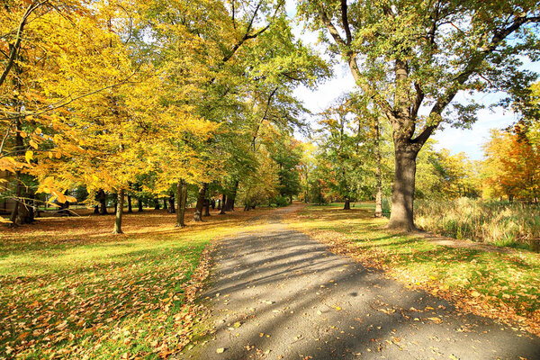 ВРОКЛАВ (ПОЛЬША) - 18 ОКТЯБРЯ 2019 года: Парк Фачитницкого расположен в живописном месте исторической Перголы и Столетнего зала во Вроцлаве (Польша). Красивая природа золотой осенью
.