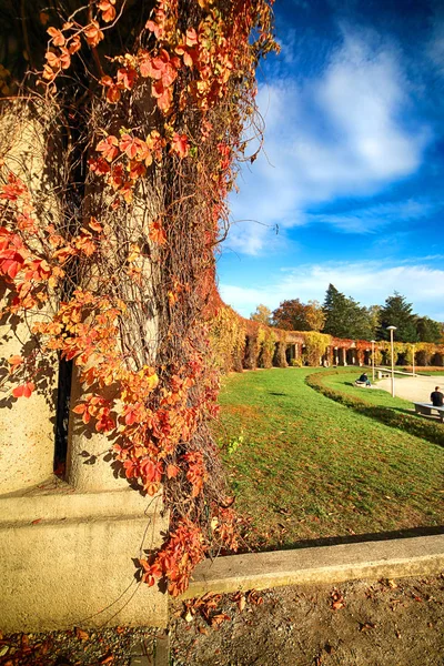 Wroclaw Poland October 2019 Pergola 1913 640 길이의 구조물로 시장의 — 스톡 사진