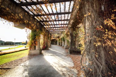 Wroclaw, Polonya - 18 Ekim 2019: Pergola - Centennial Hall Exhibition Grounds 'un ayrılmaz bir parçası olarak 1913 yılında yarı elips şeklinde inşa edilmiş 640 metre uzunluğunda bir yapı.