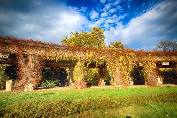 Wroclaw Poland October 2019 Pergola 1913 640 길이의 구조물로 시장의 — 스톡 사진