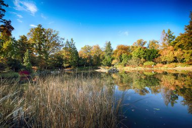 Wroclaw, Polonya - 18 Ekim 2019: Japon Bahçesi, Polonya 'nın Wroclaw kentinde bulunan Pergola ve Centennial Hall yakınlarında yer almaktadır. 1913 'teki Dünya Fuarı' ndan sonraki izleri temsil ediyor..