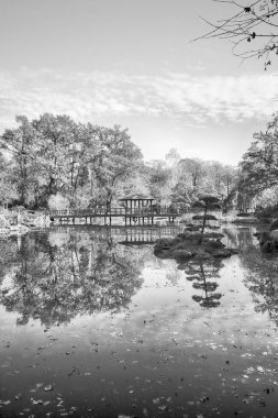 Wroclaw, Polonya - 18 Ekim 2019: Japon Bahçesi, Polonya 'nın Wroclaw kentinde bulunan Pergola ve Centennial Hall yakınlarında yer almaktadır. 1913 'teki Dünya Fuarı' ndan sonraki izleri temsil ediyor..