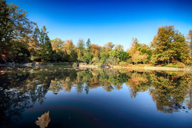Wroclaw, Polonya - 18 Ekim 2019: Japon Bahçesi, Polonya 'nın Wroclaw kentinde bulunan Pergola ve Centennial Hall yakınlarında yer almaktadır. 1913 'teki Dünya Fuarı' ndan sonraki izleri temsil ediyor..